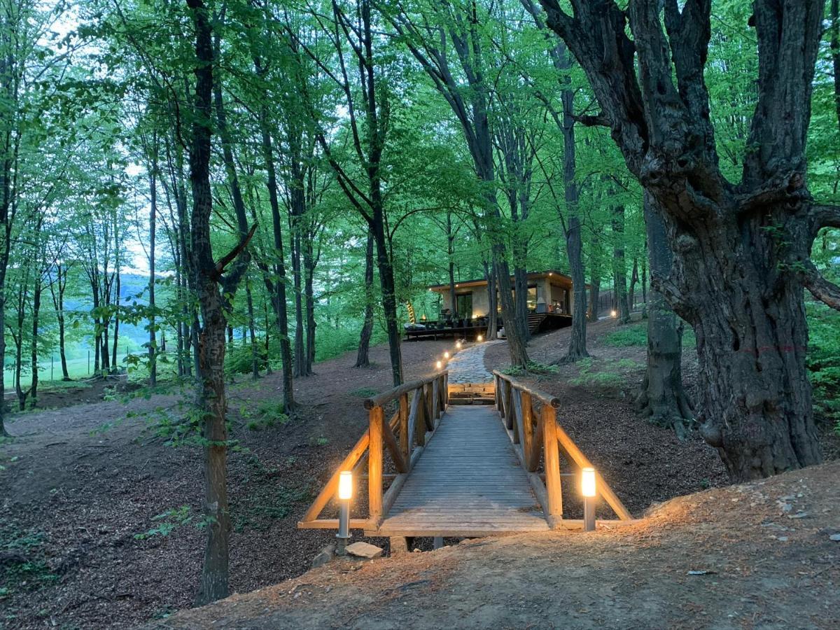 Luxury Lake House & Glamping Villa Teşila Esterno foto